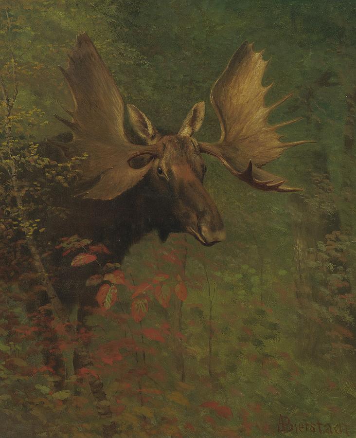 Sunset Painting - Study  of  a  moose by Celestial Images