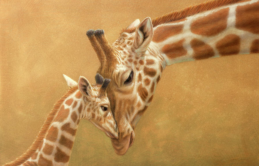 Giraffe Drawing - Study of a Parental Bond by James W Johnson