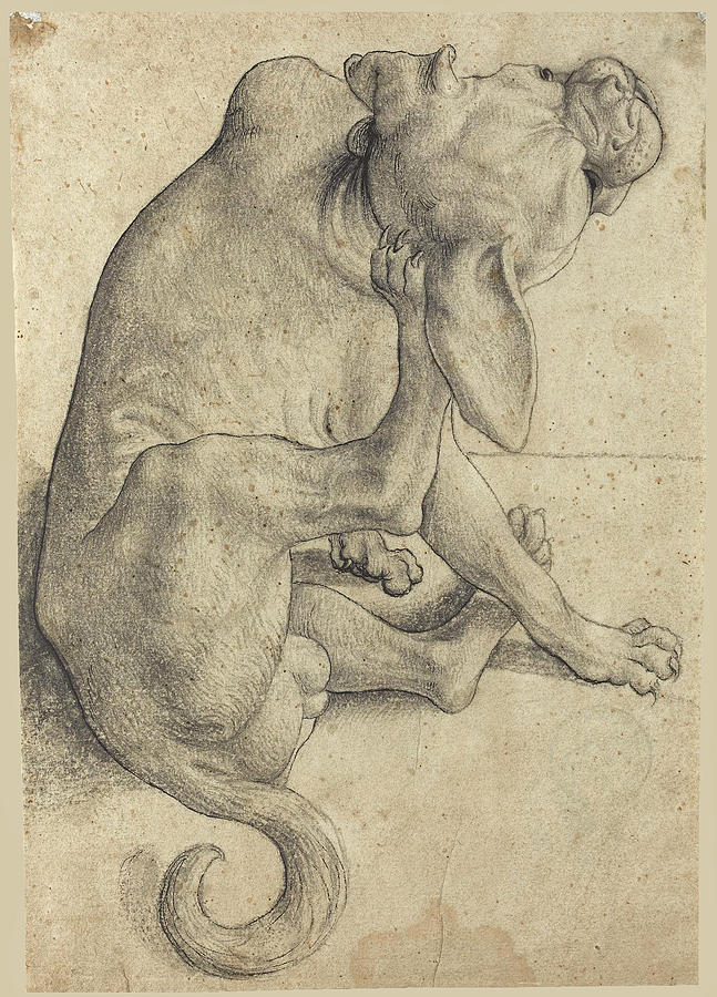 Study of a Seated Dog scratching himself Drawing by German School