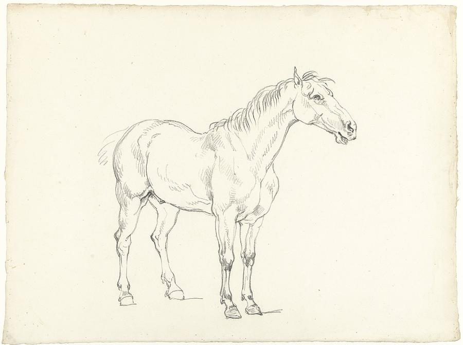 Study of a standing horse Painting by MotionAge Designs