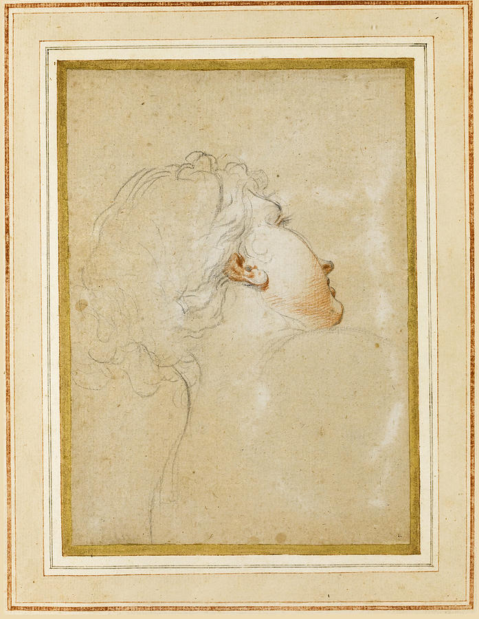 Study of a young womans head and shoulders seen from behind her face partly in profile Drawing by Attributed to Antonio Domenico Gabbiani