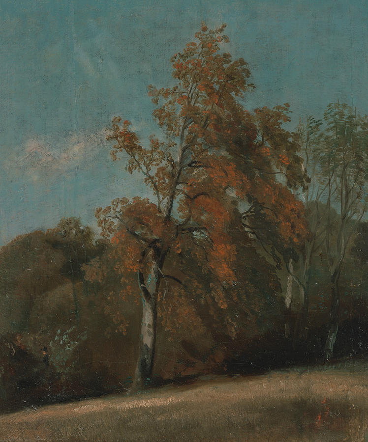 Study of an Ash Tree Painting by John Constable