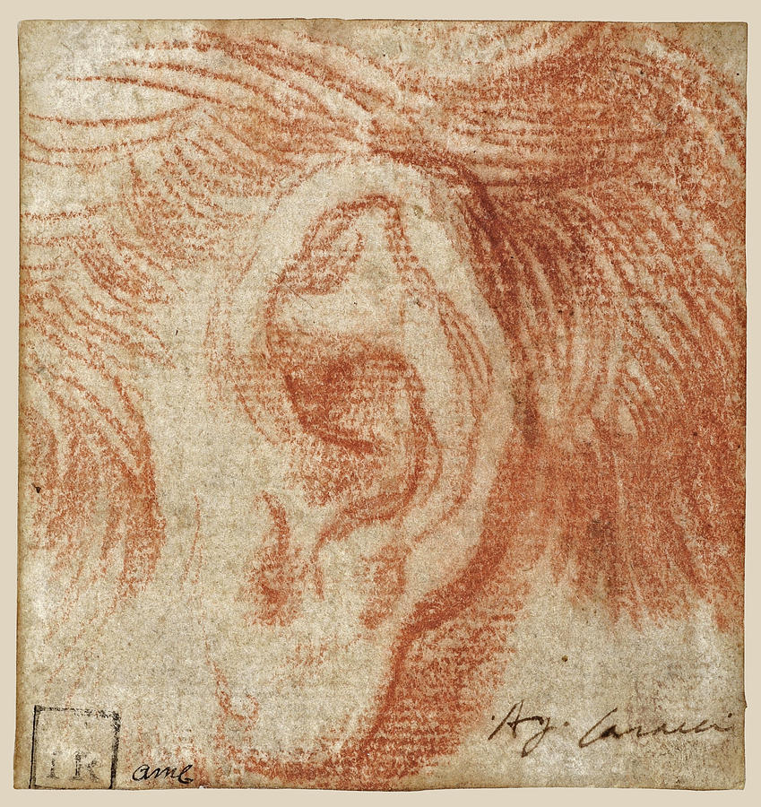 Study of an Ear Drawing by Agostino Carracci