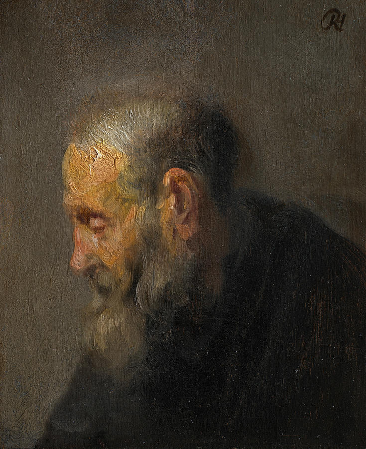 Study of an Old Man in Profile Painting by Rembrandt