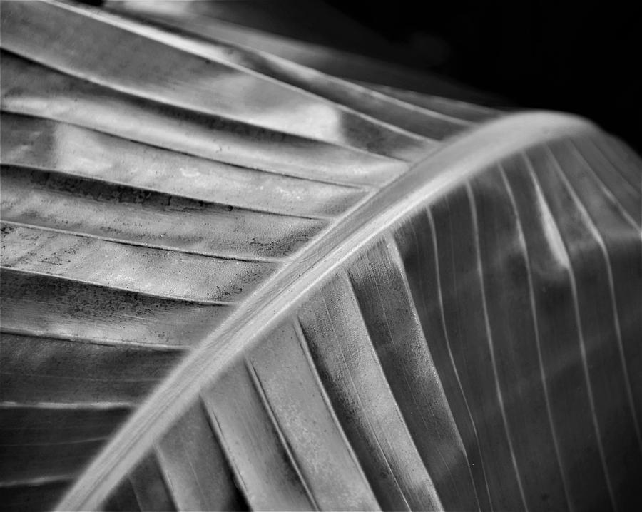 Study of Angles and Light No. 1 Photograph by Heidi Fickinger