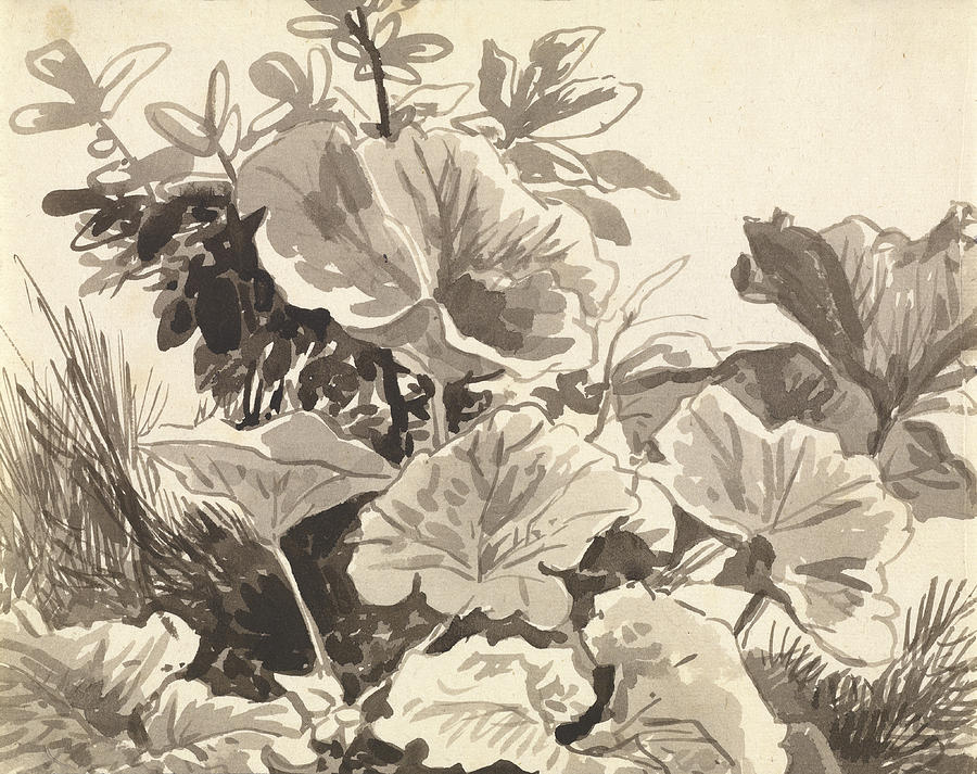 Flower Painting - Study of Coltsfoot Leaves by Franz Innocenz Kobell