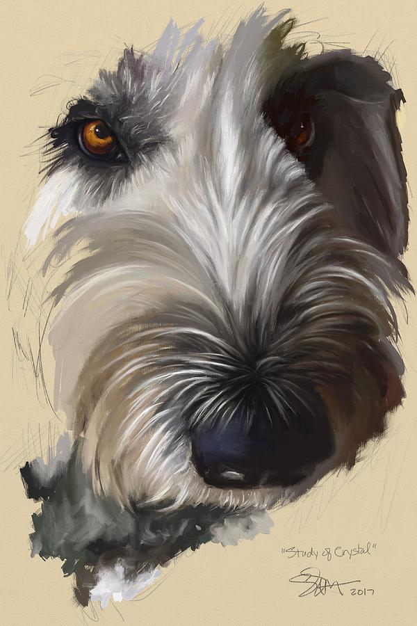 Dog Painting - Study of Crystal by Shelley Hanna