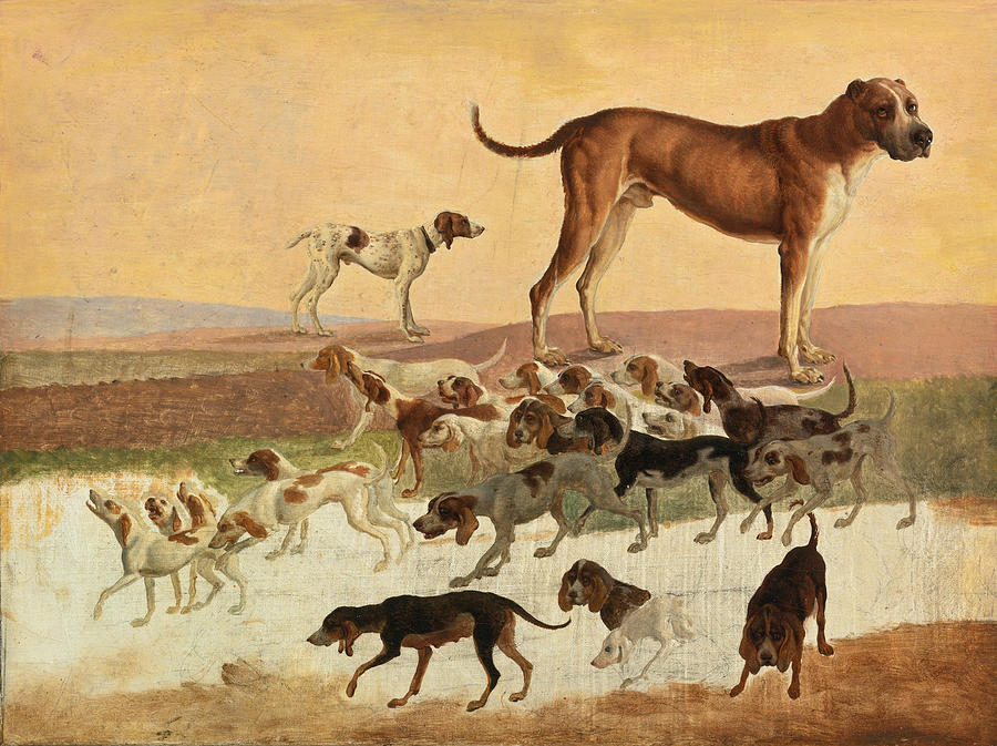 Study of Dogs Photograph by Jacques-Laurent Agasse