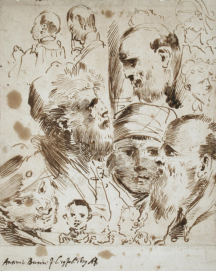 Study of Heads Drawing by Giovanni Antonio Burrini