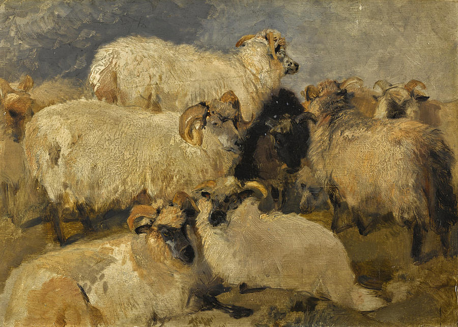 Study of Highland Blackface Sheep Painting by Edwin Landseer