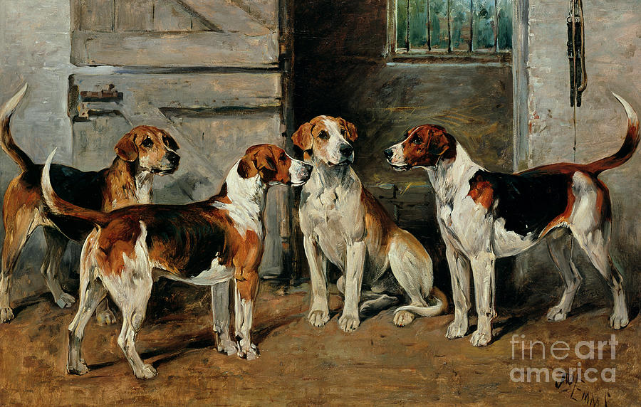 Study of Hounds Painting by John Emms