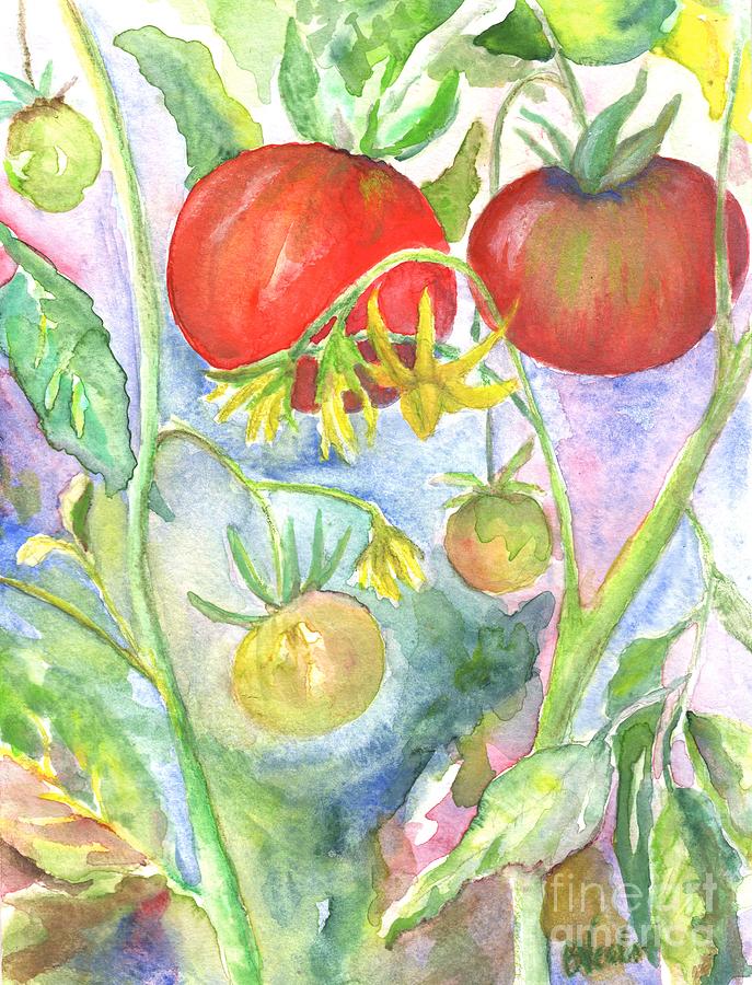 Study of My Tomatoes Painting by Bev Veals