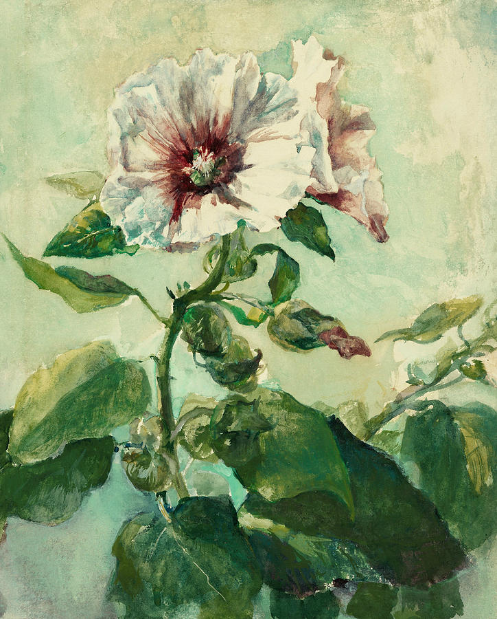 Study of Pink Hollyhocks in Sunlight, from Nature Drawing by John La Farge