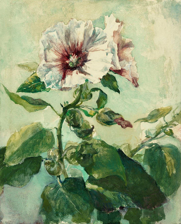 Study of Pink Hollyhocks in Sunlight Painting by Celestial Images