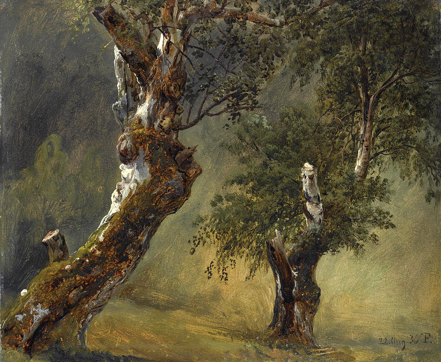 Study of Trees Painting by Thomas Fearnley