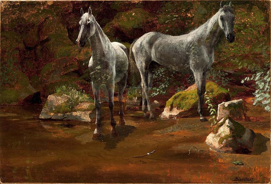 Albert Bierstadt  Painting - Study of Wild Horses by Albert Bierstadt