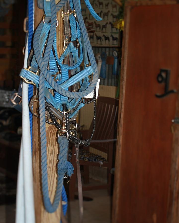 Stuff in the Barn by Roena King Stuff in the Barn by Roena King