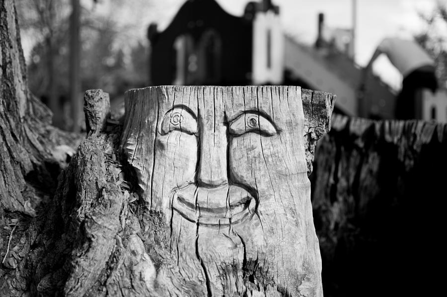 Stump face 1 Photograph by Stephen Holst