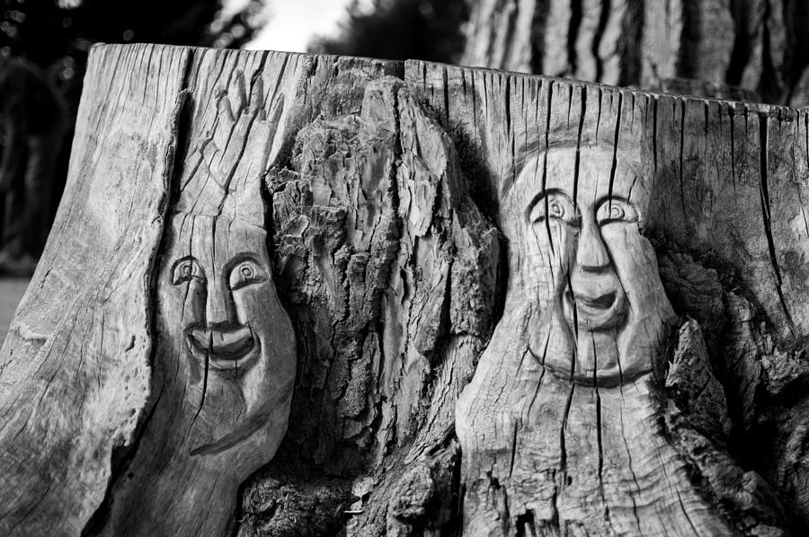 Stump faces 2 Photograph by Stephen Holst