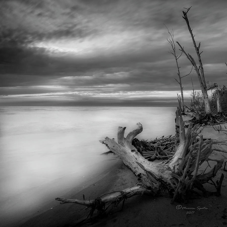 Stump Island -BW Photograph by Marvin Spates