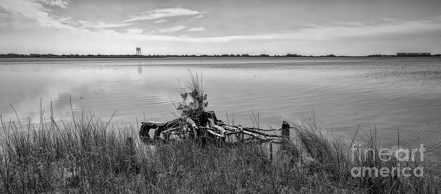 Stump On The Lake-monochrome Photograph