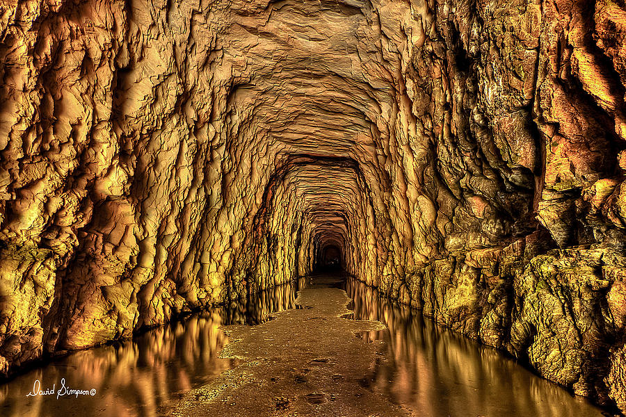 Stumphouse Tunnel Photograph by David Simpson