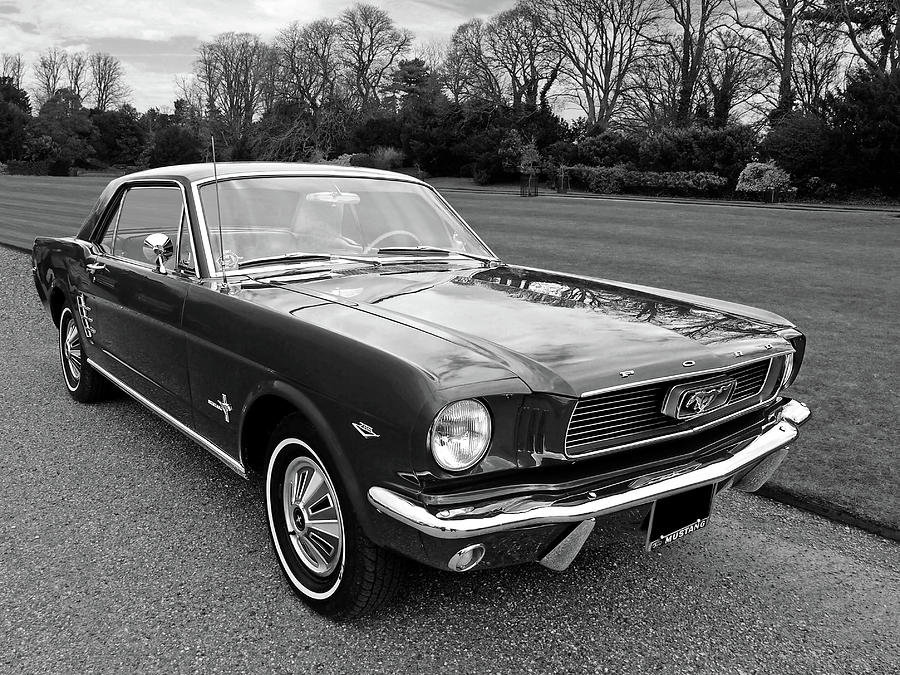 Stunning 1966 Mustang in Black and White Photograph by Gill Billington