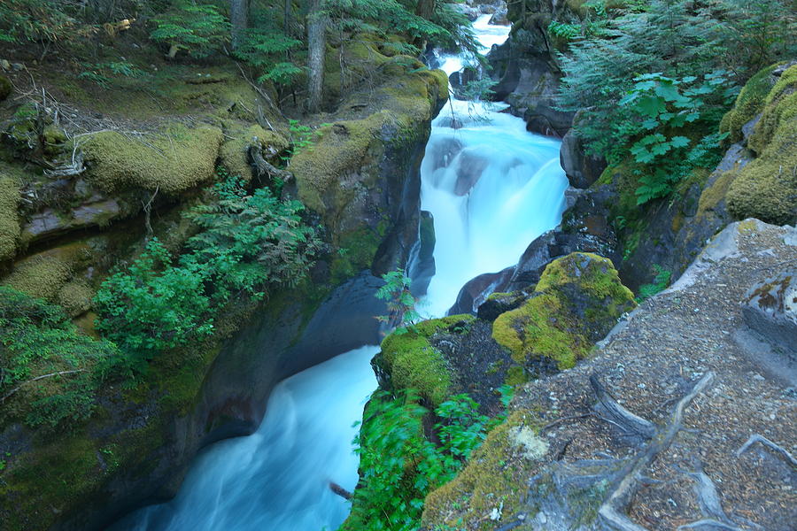 Stunning Beauty of Avalanche Creek Photograph by Jeff Swan