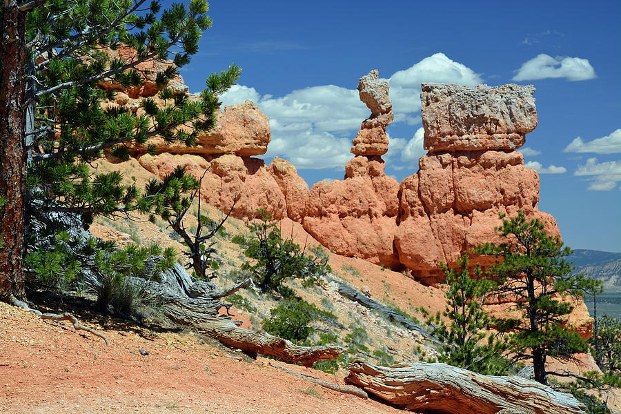 Stunning Bryce Canyon National Park Backcountry Photograph by Bruce Gourley