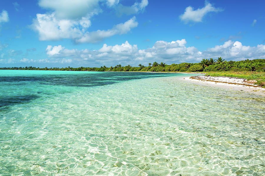 Stunning Caribbean Landscape Photograph by Jess Kraft - Fine Art America