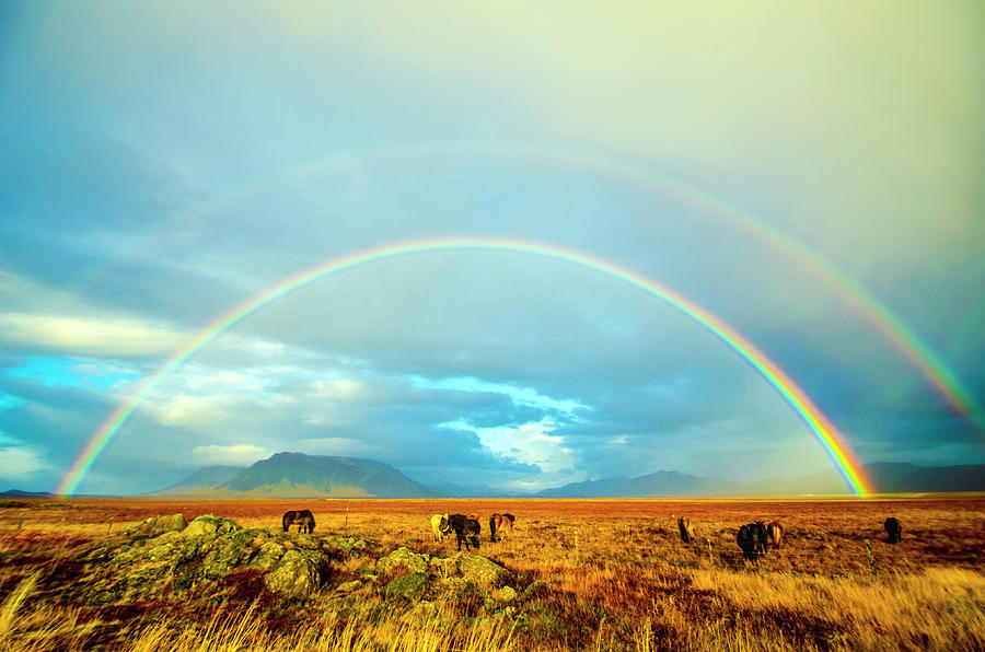 Stunning Double Rainbow Iceland Photograph by Deborah Smolinske