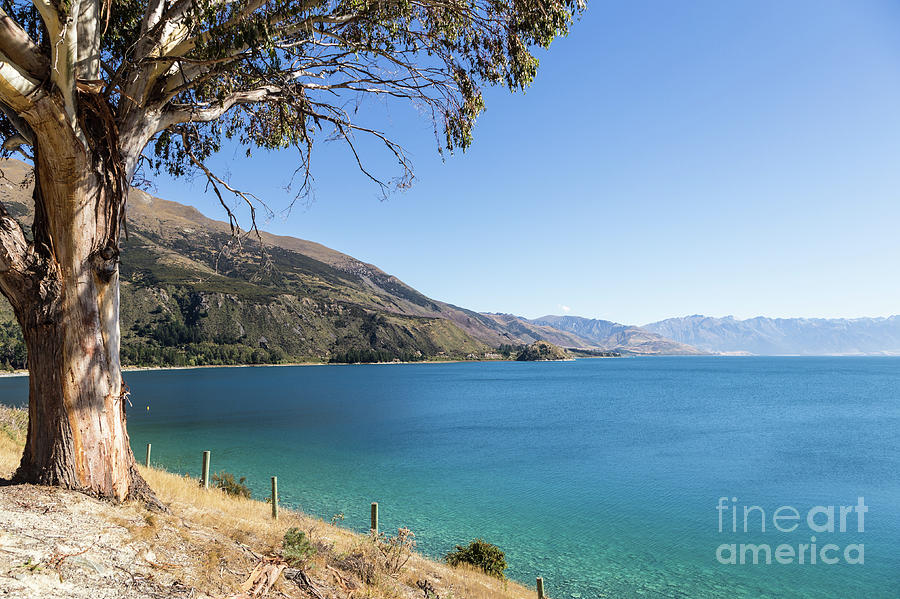 Stunning Hawea lake in New Zealand Photograph by Didier Marti