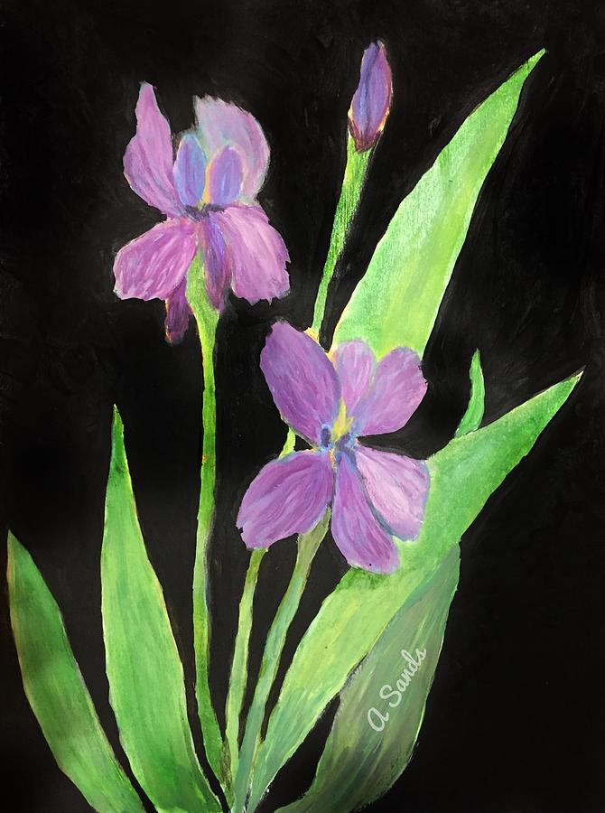 Stunning Irises Painting by Anne Sands