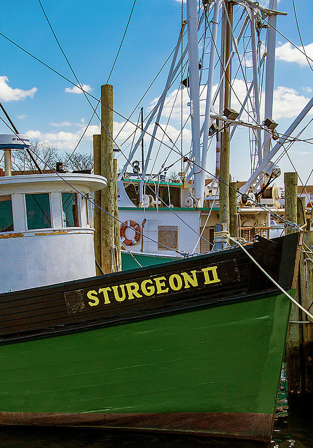 Sturgeon 2 Commercial Fishing Boat Photograph by Bob Slitzan