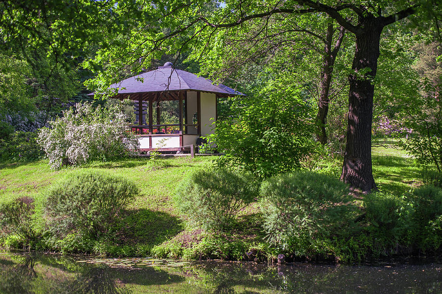 Stylish Pavilion  in Japanese Garden Photograph by Jenny Rainbow