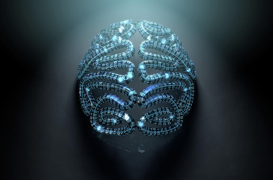 Artificial Intelligence Digital Art - Stylized Artificial Intelligence Brain by Allan Swart