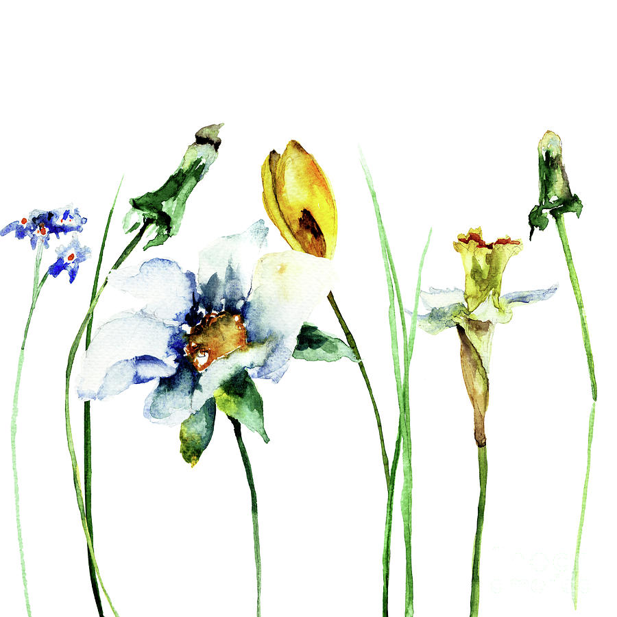 Stylized flowers watercolor illustration Painting by Regina Jershova