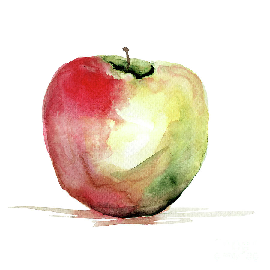 Stylized watercolor apple illustration Painting by Regina Jershova