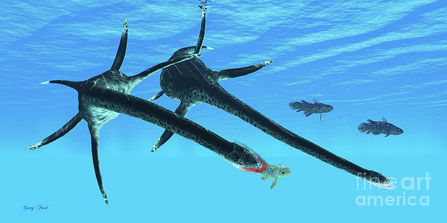 Prehistoric Digital Art - Styxosaurus Reptile hunts Coelacanth Fish by Corey Ford