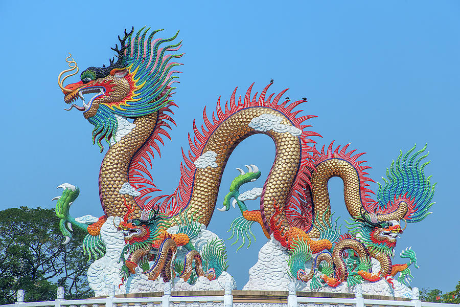 Suan Sawan Golden Dancing Dragon DTHNS0147 Photograph by Gerry Gantt