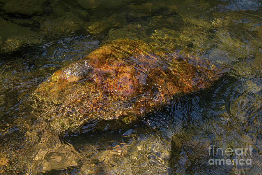 Submerged Rock Photograph by Chris Scroggins