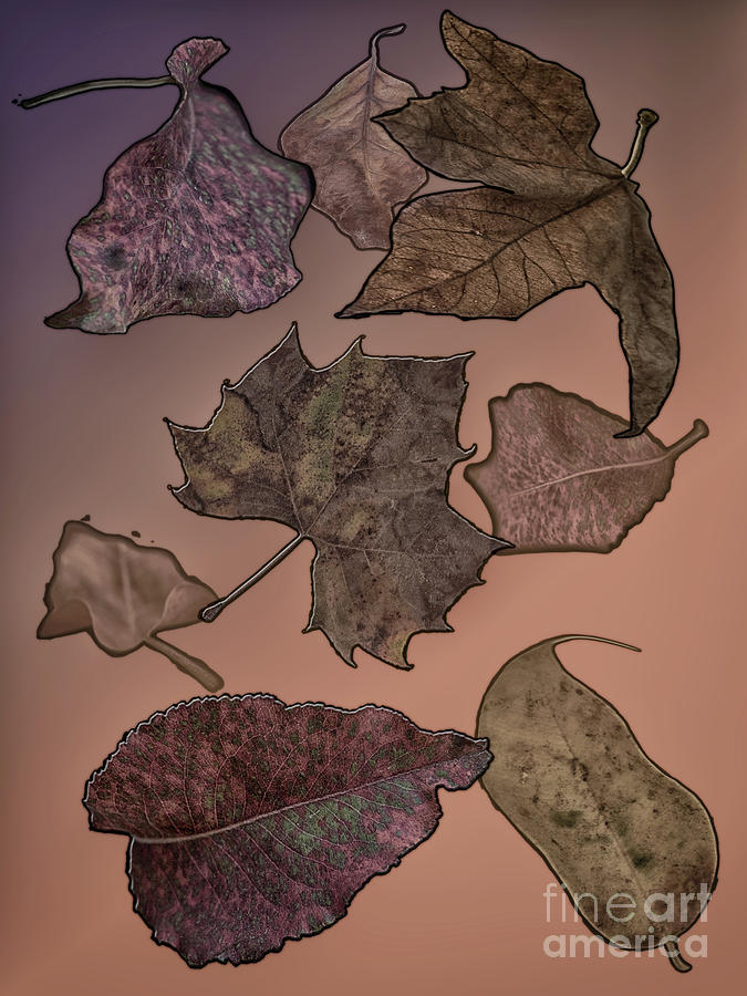 Subtle Autumn Digital Art by Judy Hall-Folde
