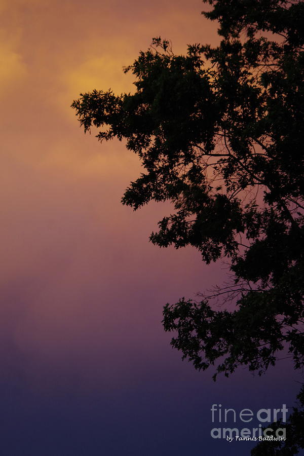 Subtle sunset Photograph by Tannis Baldwin