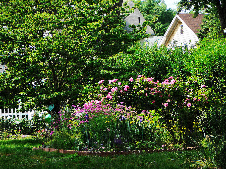 Suburban Garden With Roses Photograph by Susan Savad