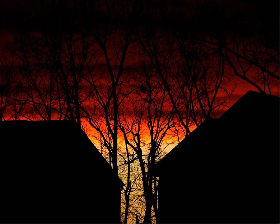 Suburban SUnsert by Pam Halliburton Suburban SUnsert by Pam Halliburton