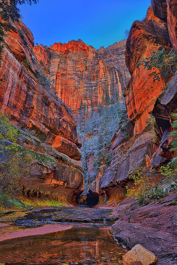 Zion National Park Photograph - Subway Entrance by Greg Norrell