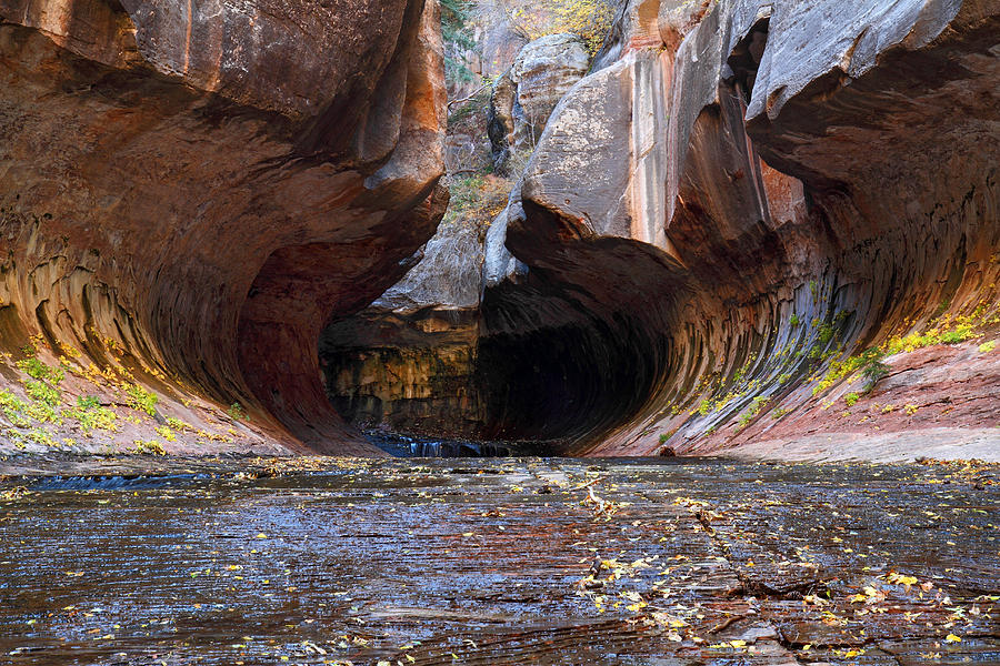 Subway entrance in Zion National park Photograph by Pierre Leclerc Photography