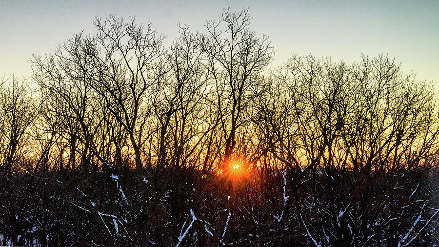 Tree Photograph - Subzero Sunrise by Randy Scherkenbach