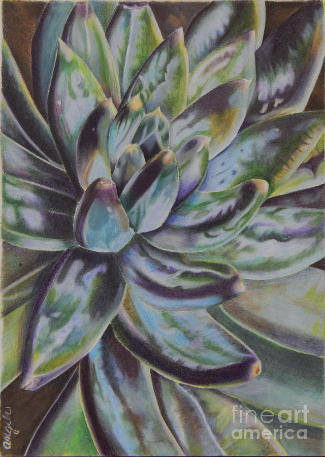 Succulent Painting by Angela Armano