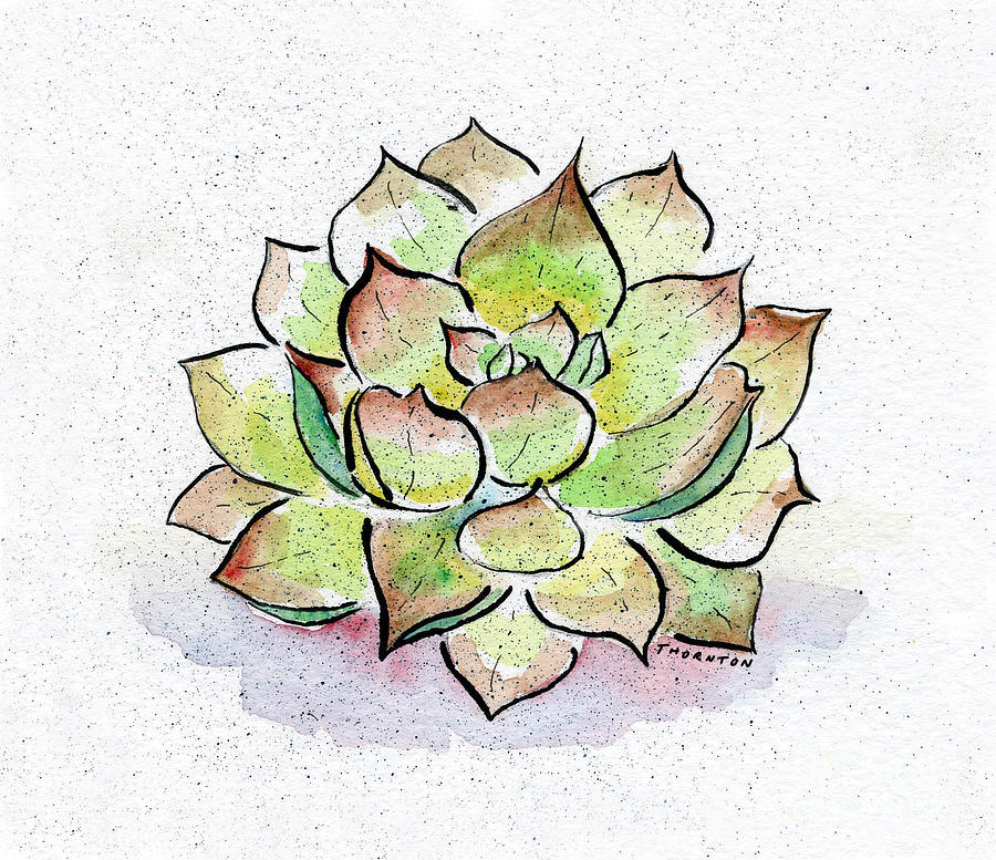Succulent Painting by Diane Thornton